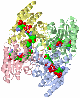 Image Asym./Biol. Unit