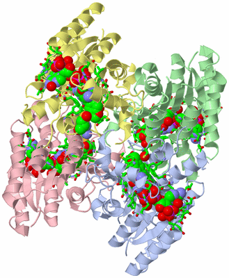 Image Asym./Biol. Unit - sites