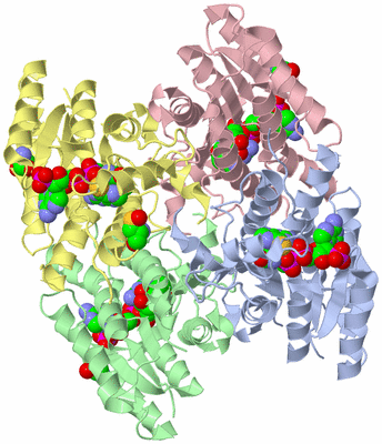 Image Asym./Biol. Unit