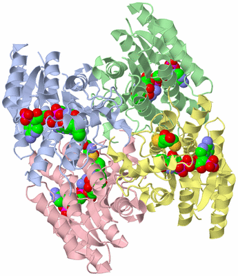 Image Asym./Biol. Unit