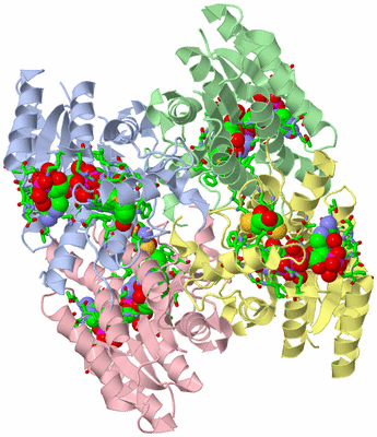 Image Asym./Biol. Unit - sites