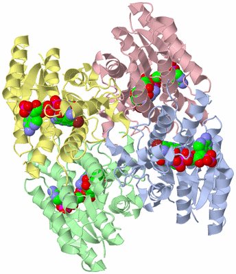 Image Asym./Biol. Unit