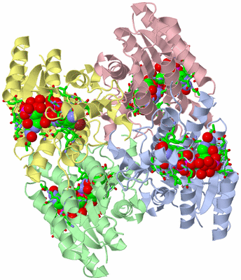 Image Asym./Biol. Unit - sites