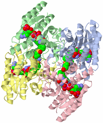 Image Asym./Biol. Unit