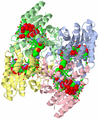 Image Asym./Biol. Unit - sites