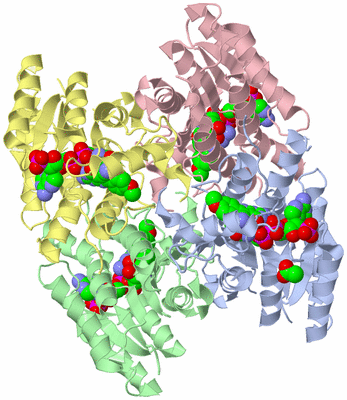 Image Asym./Biol. Unit