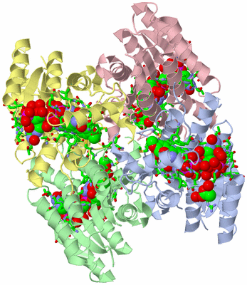 Image Asym./Biol. Unit - sites