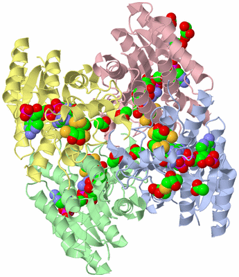 Image Asym./Biol. Unit