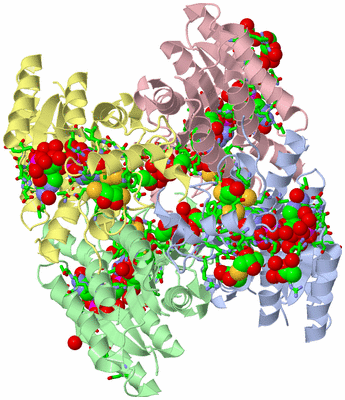 Image Asym./Biol. Unit - sites