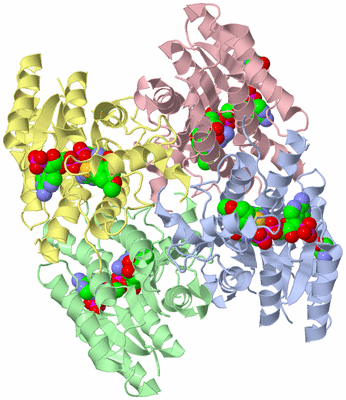 Image Asym./Biol. Unit