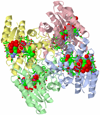 Image Asym./Biol. Unit - sites