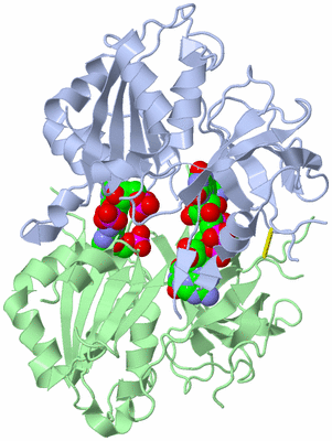 Image Biological Unit 1