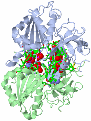 Image Biol. Unit 1 - sites