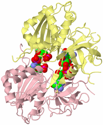 Image Biological Unit 2