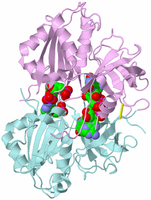 Image Biological Unit 3