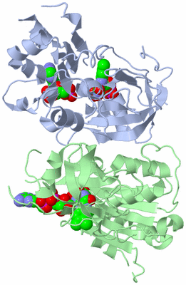 Image Biological Unit 4