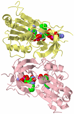 Image Biological Unit 5