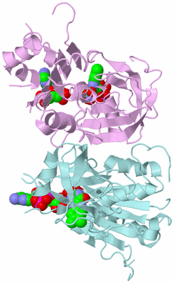 Image Biological Unit 6