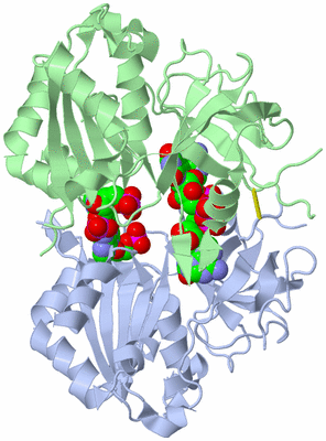 Image Biological Unit 1