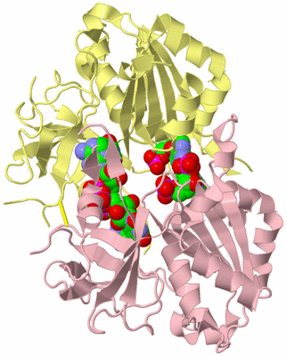 Image Biological Unit 2