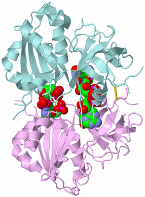 Image Biological Unit 3