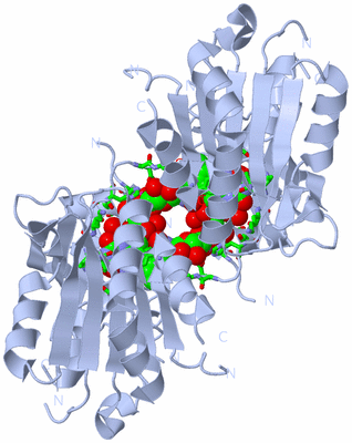 Image Biol. Unit 1 - sites