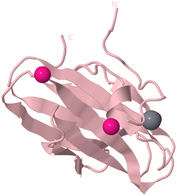 Image Biological Unit 3