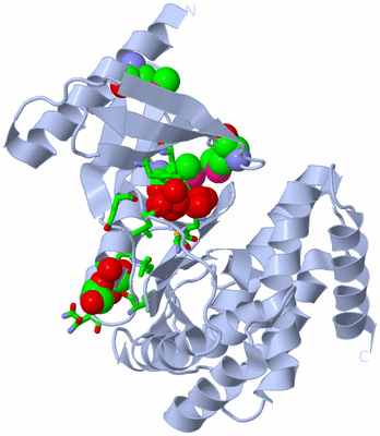 Image Biol. Unit 1 - sites