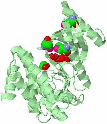 Image Biological Unit 2