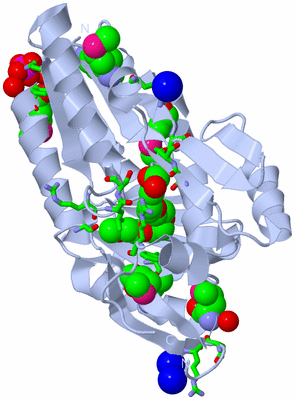 Image Biol. Unit 1 - sites