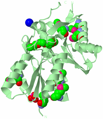 Image Biological Unit 2