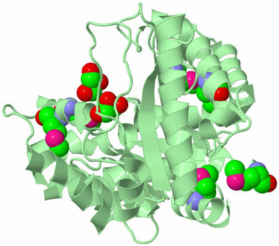 Image Biological Unit 2