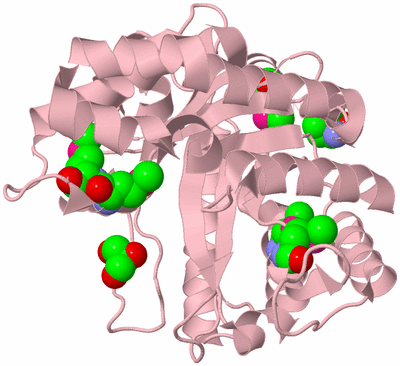 Image Biological Unit 3