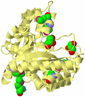 Image Biological Unit 4