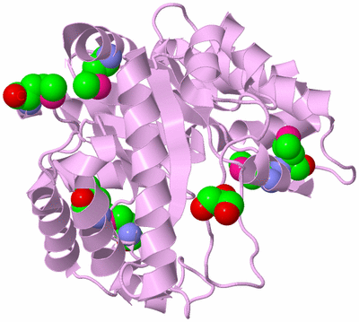 Image Biological Unit 5