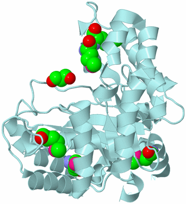 Image Biological Unit 6