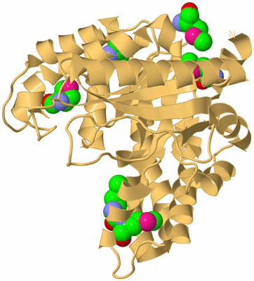 Image Biological Unit 7