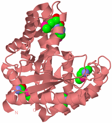 Image Biological Unit 8