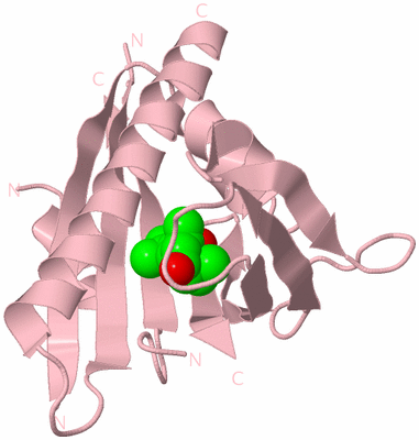 Image Biological Unit 3