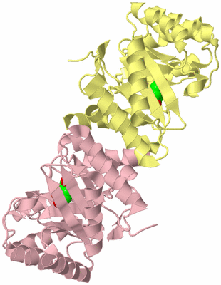 Image Biological Unit 2