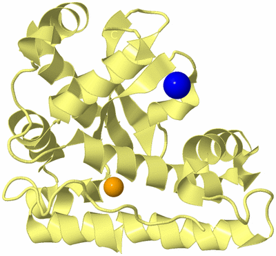 Image Biological Unit 4