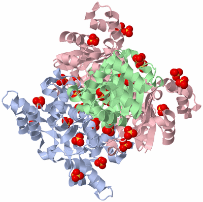 Image Biological Unit 1