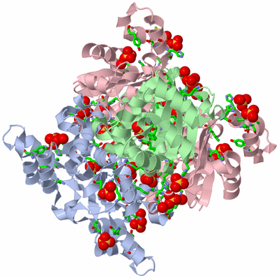 Image Biol. Unit 1 - sites