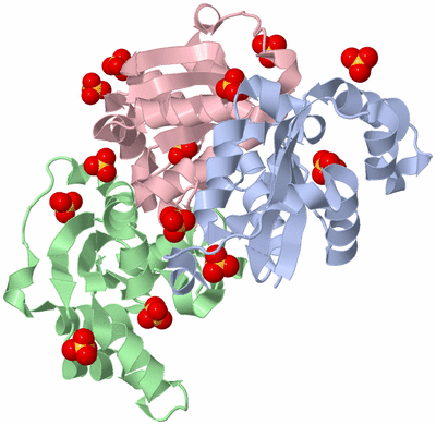 Image Biological Unit 2