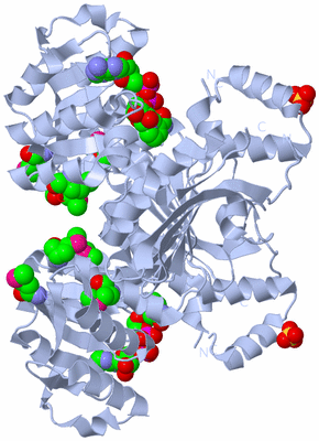 Image Biological Unit 1