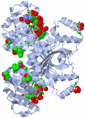 Image Biol. Unit 1 - sites