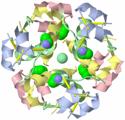 Image Biological Unit 1