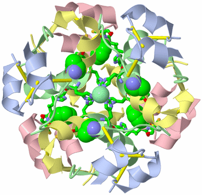 Image Biol. Unit 1 - sites