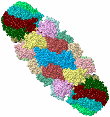 Image Biological Unit 1