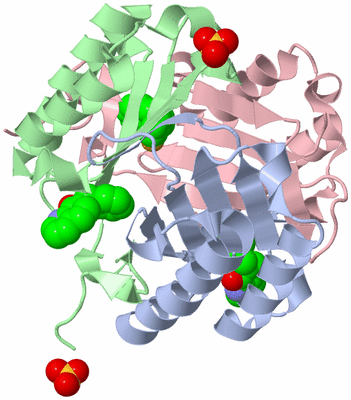 Image Asym./Biol. Unit